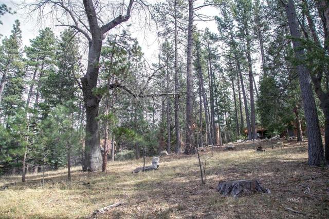 0 Tollgate Road, Idyllwild CA: https://media.crmls.org/mediaz/3c46cb28-a579-4614-92f2-dd8d74ad4a58.jpg