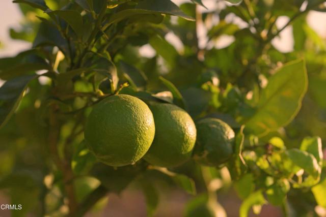 Detail Gallery Image 7 of 18 For 15295 Middle Ranch Rd, Moorpark,  CA 93021 - – Beds | – Baths