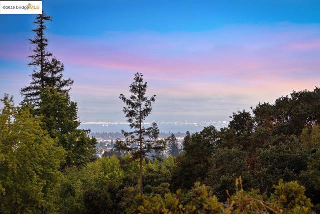 99 Lexford Rd, Piedmont CA: https://media.crmls.org/mediaz/3c4f704d-e745-4333-9560-5cf9309bdc2a.jpg