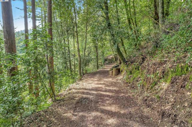 Image 8 of 12 For 21409 Hazel Way