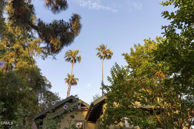 1813 Wayne Avenue, South Pasadena CA: https://media.crmls.org/mediaz/3c6ce443-e87a-46e2-a549-5eb664f53461.jpg