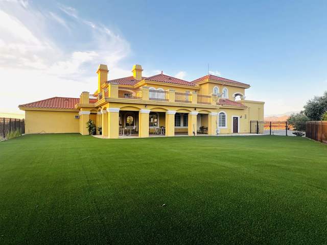 Backyard with artificial grass.