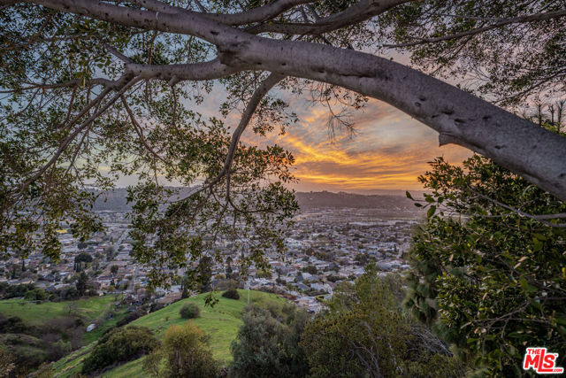 812 W Avenue 37, Los Angeles CA: https://media.crmls.org/mediaz/3c7cf612-fb26-4da8-8e9a-39d1f299ceb0.jpg