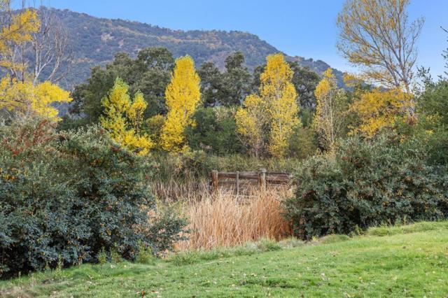 18190 Cachagua, Carmel Valley CA: https://media.crmls.org/mediaz/3ca008ff-1bb0-4b4c-85ef-ace702f4fdc2.jpg