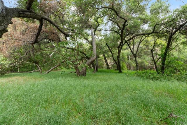 2021 Willow Glen Road, Fallbrook CA: https://media.crmls.org/mediaz/3ca149cb-7396-4bfe-bff5-459a1d925c42.jpg