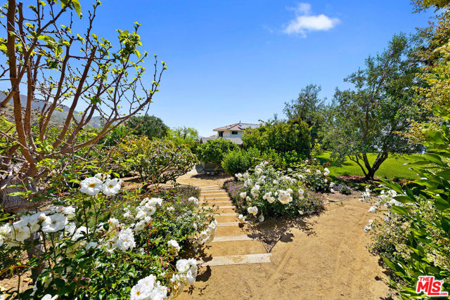 27450 Calicut Road, Malibu CA: https://media.crmls.org/mediaz/3cc03297-b96e-4932-883e-853a3f48bc04.jpg