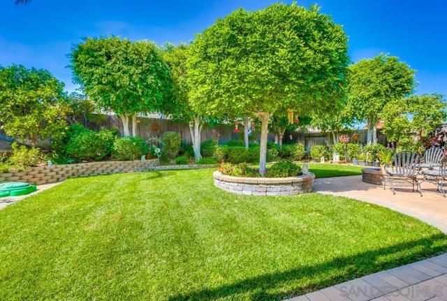Tranquil lush green backyard!