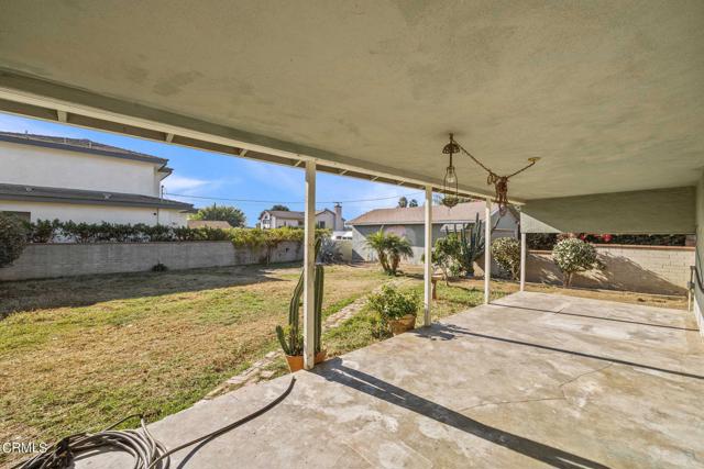 Patio & Backyard