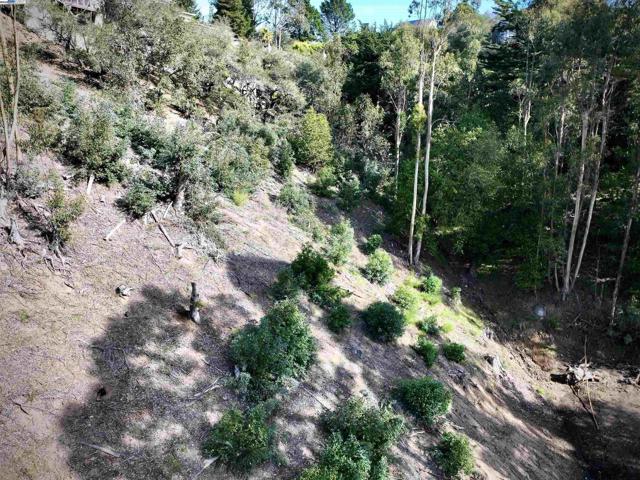 7590 Skyline Blvd, Oakland CA: https://media.crmls.org/mediaz/3ccac86f-7394-49f1-9589-cb9682e104b7.jpg