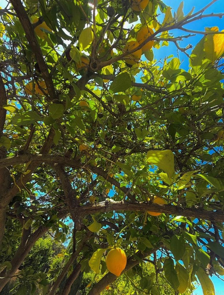 https://media.crmls.org/mediaz/3cd3d0c3-046f-43e7-ae92-a6f7f0531432.jpg?preset=X-Large