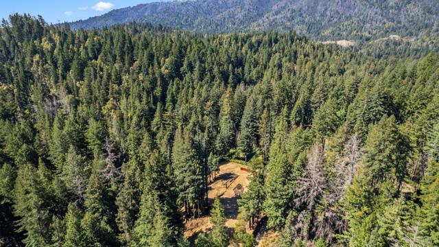 830 Kings Highway, Boulder Creek CA: https://media.crmls.org/mediaz/3ce4ff21-fa20-467c-bc0b-7bd0f5f3e3b4.jpg