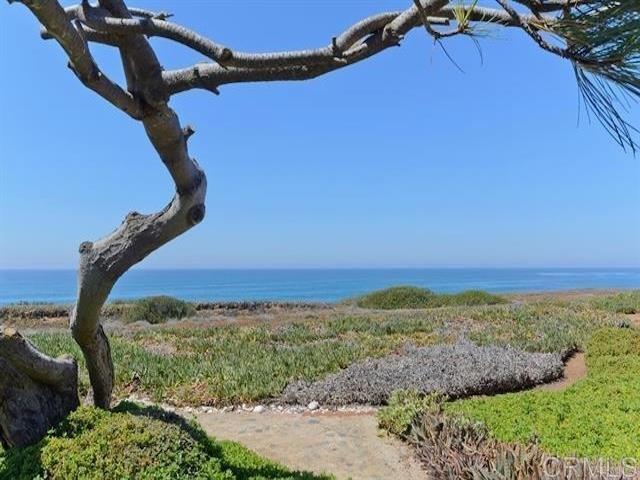 6496 Friendly Place, Carlsbad CA: https://media.crmls.org/mediaz/3cf3c48c-0a78-4c93-a92f-beb293bbc198.jpg