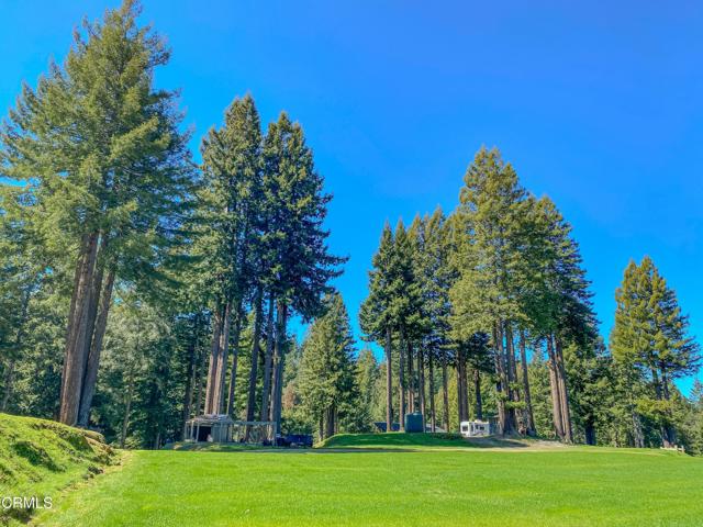 15137 Mitchell Creek Drive, Fort Bragg CA: https://media.crmls.org/mediaz/3cf41a21-53e2-4ace-bb8a-408347b14400.jpg