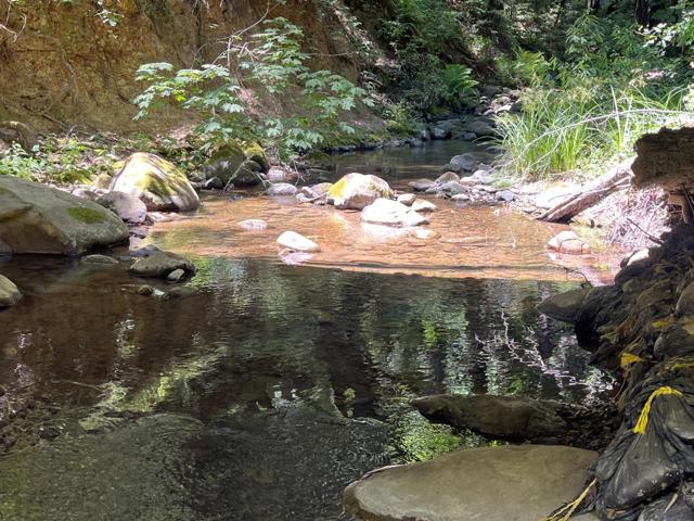 0 Deer Creek (Lot 21), Boulder Creek CA: https://media.crmls.org/mediaz/3cf8e33e-c15b-437c-bca8-5e7fff673bbc.jpg