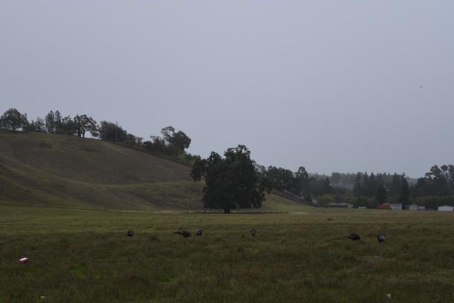 Image 8 of 23 For 1700 Finley Road