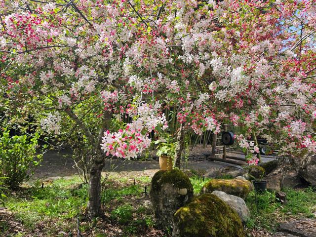 5601 Freedom Boulevard, Aptos CA: https://media.crmls.org/mediaz/3d016e37-d0e9-4b52-810d-6ed803487143.jpg