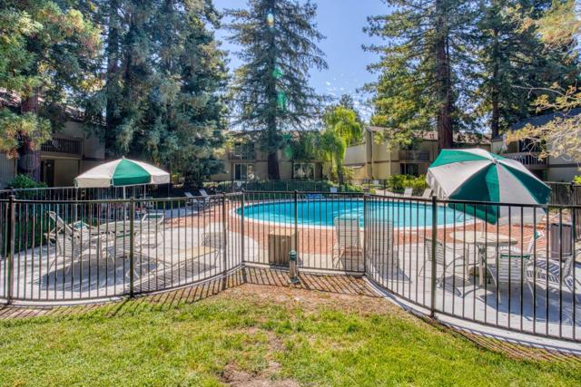 505 Cypress Point Drive, Mountain View CA: https://media.crmls.org/mediaz/3d0aba90-3007-484f-a3d2-9e52d16548f3.jpg