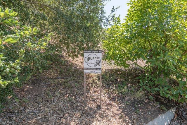 3137 E Valley Parkway, Escondido CA: https://media.crmls.org/mediaz/3d0f7b71-864d-4dd5-a685-e5d3efa98832.jpg