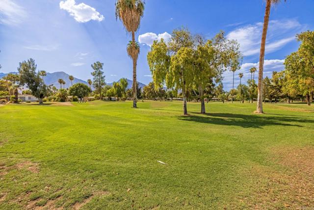 Detail Gallery Image 21 of 23 For 1010 Palm Canyon Dr #249,  Borrego Springs,  CA 92004 - 2 Beds | 2 Baths