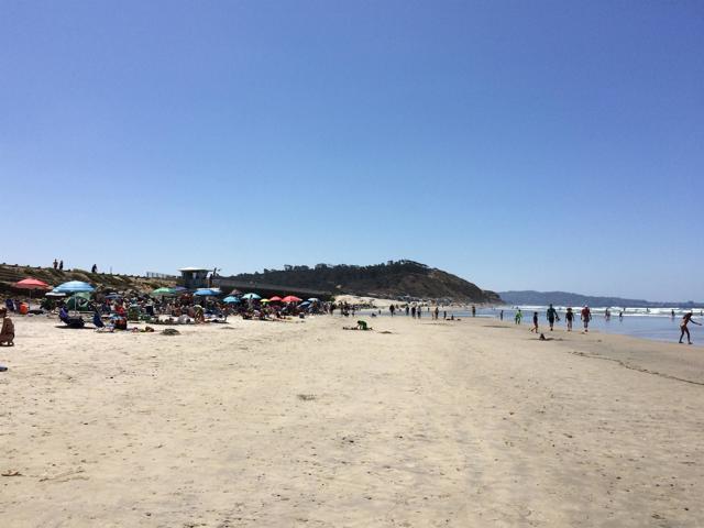 12991 Caminito Bodega, Del Mar CA: https://media.crmls.org/mediaz/3d22c6b2-9dec-44c3-b99a-a8e8ca0ad5e9.jpg