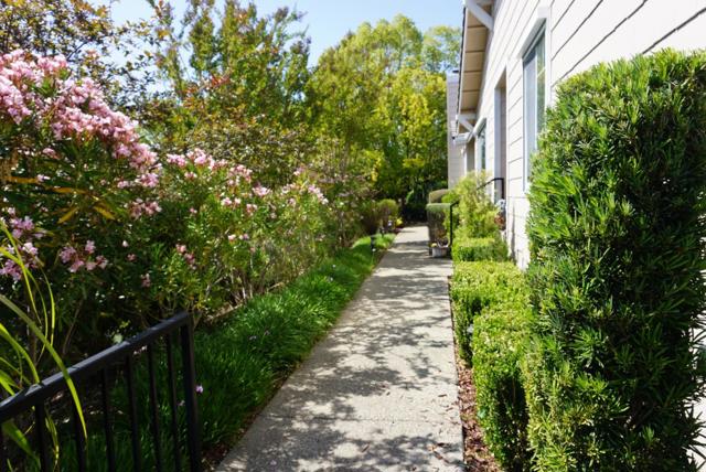 8762 Mccarty Ranch Drive, San Jose CA: https://media.crmls.org/mediaz/3d2fa392-50e7-4096-bcc3-a6a7400b2197.jpg