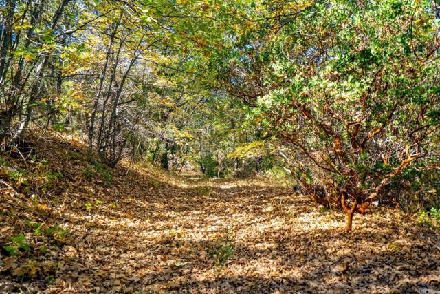 Detail Gallery Image 47 of 54 For 2810 Three Peaks Ln, Julian,  CA 92036 - 3 Beds | 2/1 Baths