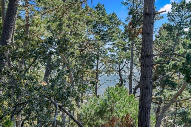 6 Stratford Place, Monterey CA: https://media.crmls.org/mediaz/3d46e915-bfcb-48e7-ba0f-24f1d4fc90f2.jpg
