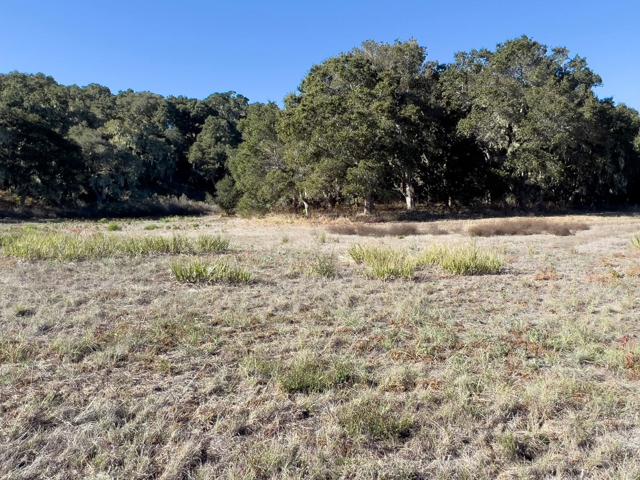 7 Holding Field Run, Carmel Valley CA: https://media.crmls.org/mediaz/3d4a36c4-2aac-437f-ba84-1f58e190dde4.jpg