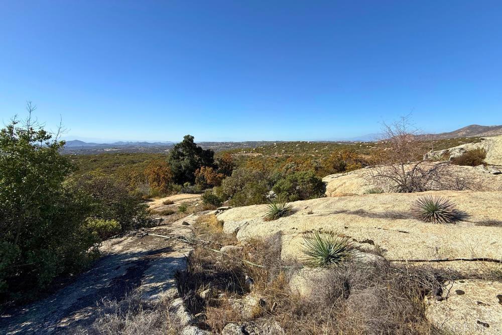 MLS #PTP2507282 image #15