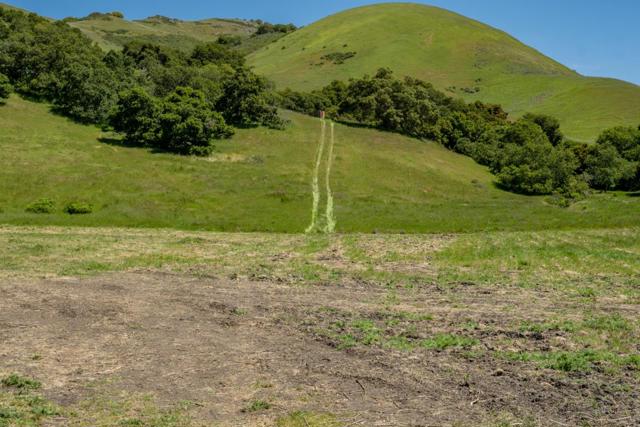 Image 8 of 37 For 100 Old Stage Road