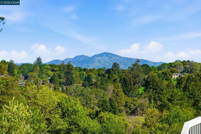 102 Hillcrest Dr, Orinda CA: https://media.crmls.org/mediaz/3d6283f1-bf35-474a-a5a7-ad5302f4bbec.jpg