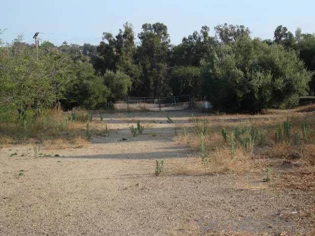 1252 Navel Place - photo 9