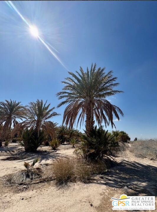 0 Noffsinger, Niland CA: https://media.crmls.org/mediaz/3d76f144-d06c-46b0-8893-58e5186a2cb0.jpg