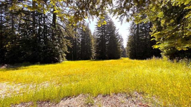 3675 Bonny Doon Road, Santa Cruz CA: https://media.crmls.org/mediaz/3d8c6081-ac78-447d-a527-5d9b5bb60880.jpg