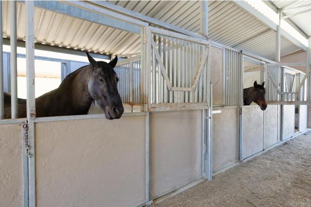 Front Image Thumbnail for CRNDP2603615