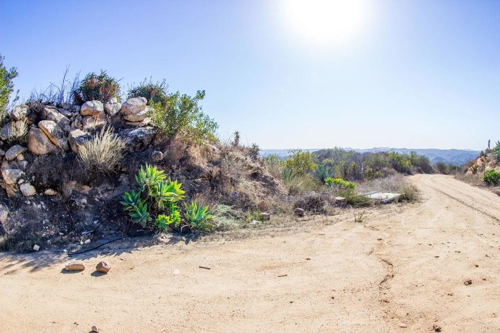 MLS #NDP2400534 image #18