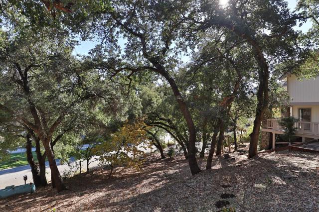 16669 Walter Breton Drive, Morgan Hill CA: https://media.crmls.org/mediaz/3dadf53a-0330-4e84-ae36-e51fc44a8ac3.jpg