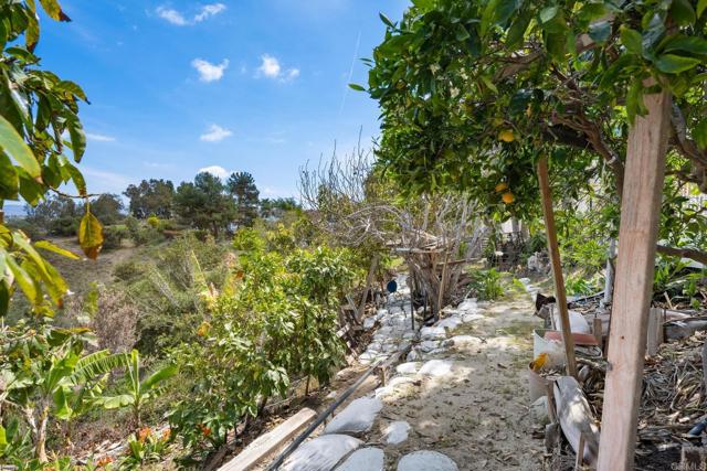 1367 Corona, Bonita CA: https://media.crmls.org/mediaz/3db6dafa-cfcb-4bb3-a830-34d09f18280b.jpg