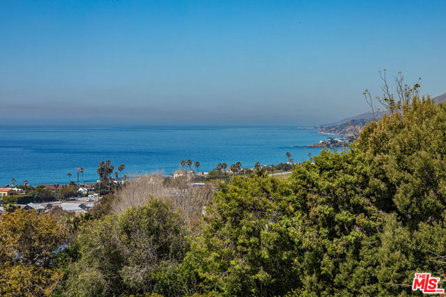 Drew Fenton | 30601 Morning View Drive Malibu CA | MLS: 7173025