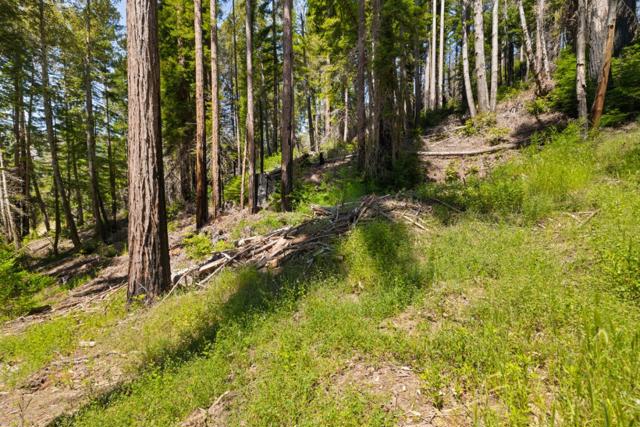 3 Bloom Grade, Boulder Creek CA: https://media.crmls.org/mediaz/3dc62c8e-2e02-4398-8b58-538d3ba3504b.jpg