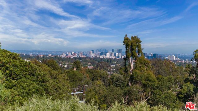Drew Fenton | 1822 Westridge Road Los Angeles CA | MLS: 7400689