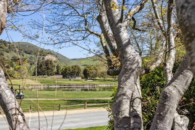 9504 Alder Court, Carmel CA: https://media.crmls.org/mediaz/3ddd358f-d97f-41fb-802d-76441b0bd46e.jpg