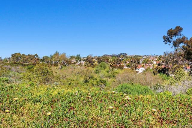 Detail Gallery Image 32 of 49 For 7104 Lantana, Carlsbad,  CA 92011 - 3 Beds | 2 Baths