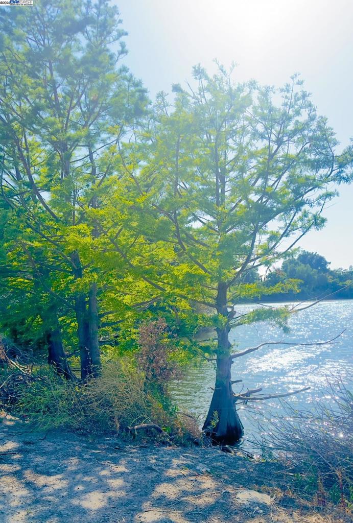 https://media.crmls.org/mediaz/3de57757-b5d2-4c7e-a0a4-b7f76f50d614.jpg?preset=X-Large