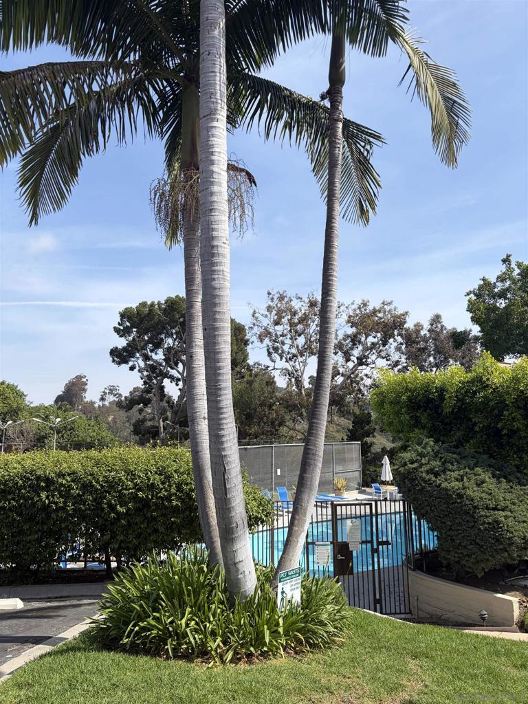 4296 5th Ave - photo 9