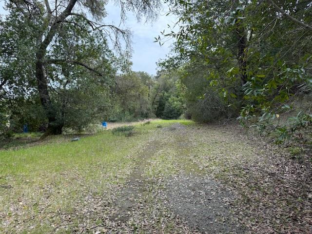 11 Little Uvas Road, Morgan Hill CA: https://media.crmls.org/mediaz/3df9346b-ac70-4d0f-bd2e-229a6acf024b.jpg