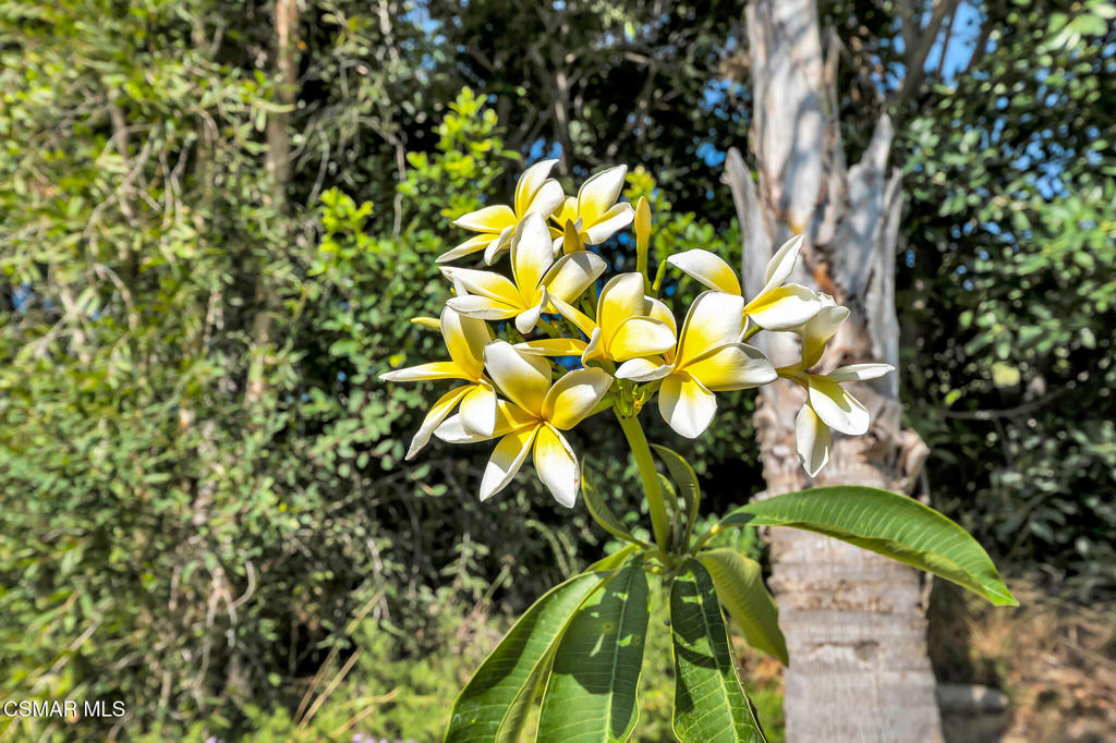 https://media.crmls.org/mediaz/3df9eab9-f9bc-4f18-a342-37e0c6ff1859.jpg?preset=X-Large