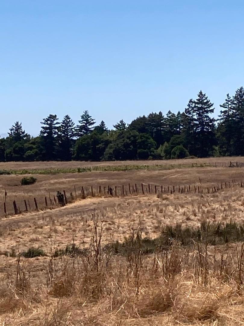 MLS #ML82017003 image #3