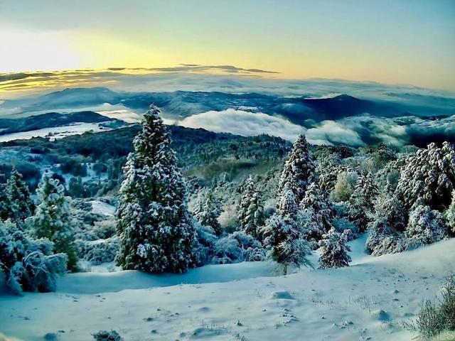 Detail Gallery Image 20 of 47 For 32771 Birch Hill Rd, Palomar Mountain,  CA 92060 - 2 Beds | 2 Baths