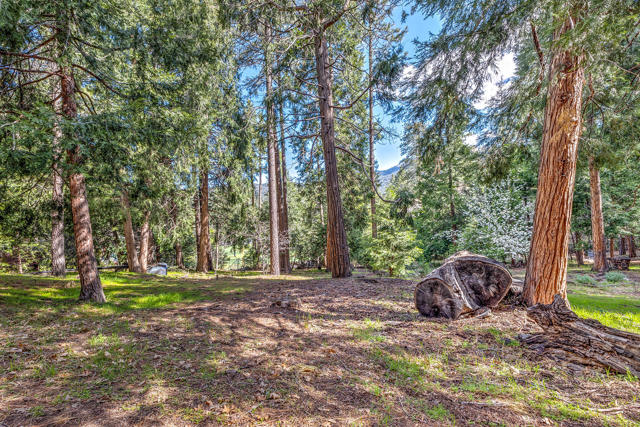 53962 Marian View Drive, Idyllwild CA: https://media.crmls.org/mediaz/3e0667cf-1d3b-4345-abeb-7d453c15c77d.jpg